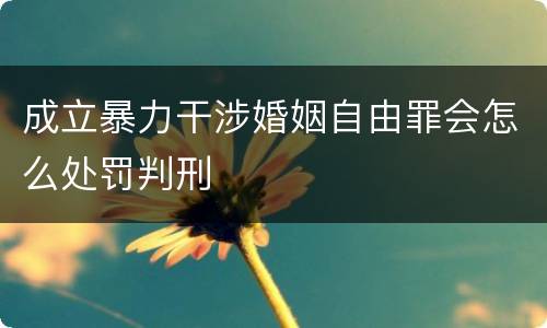 成立暴力干涉婚姻自由罪会怎么处罚判刑