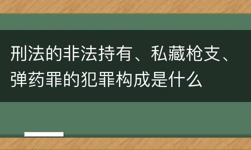 刑法的非法持有、私藏枪支、弹药罪的犯罪构成是什么