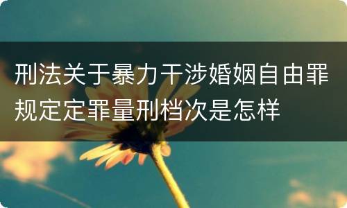 刑法关于暴力干涉婚姻自由罪规定定罪量刑档次是怎样