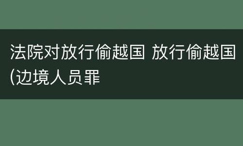法院对放行偷越国 放行偷越国(边境人员罪