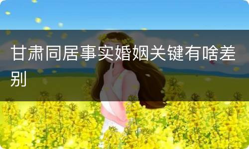 甘肃同居事实婚姻关键有啥差别