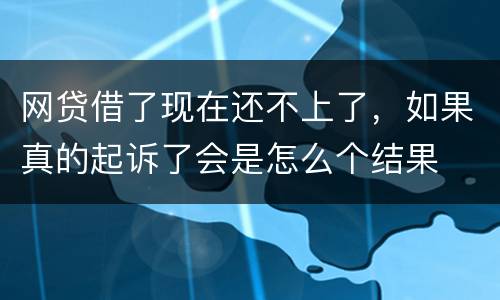 网贷借了现在还不上了，如果真的起诉了会是怎么个结果