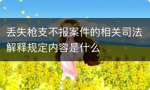 丢失枪支不报案件的相关司法解释规定内容是什么