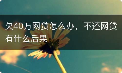 欠40万网贷怎么办，不还网贷有什么后果