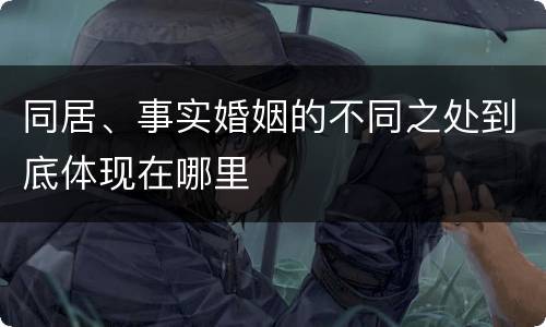同居、事实婚姻的不同之处到底体现在哪里