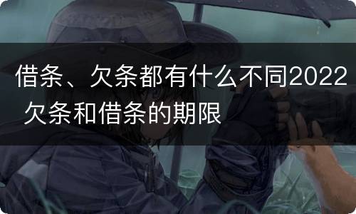 借条、欠条都有什么不同2022 欠条和借条的期限
