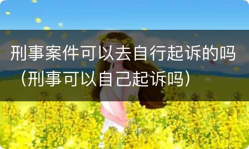 刑事案件可以去自行起诉的吗（刑事可以自己起诉吗）