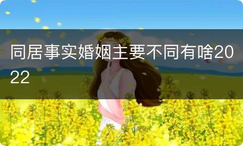 同居事实婚姻主要不同有啥2022