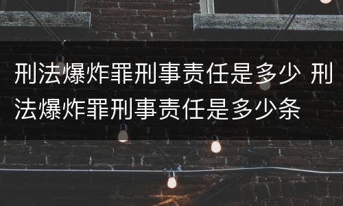 刑法爆炸罪刑事责任是多少 刑法爆炸罪刑事责任是多少条