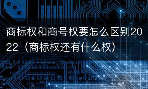 商标权和商号权要怎么区别2022（商标权还有什么权）