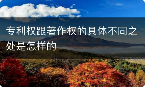 专利权跟著作权的具体不同之处是怎样的