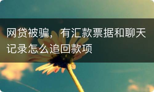 网贷被骗，有汇款票据和聊天记录怎么追回款项