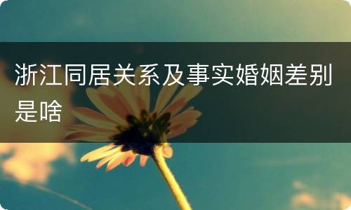 浙江同居关系及事实婚姻差别是啥