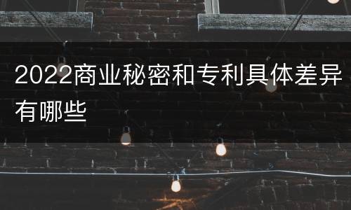 2022商业秘密和专利具体差异有哪些