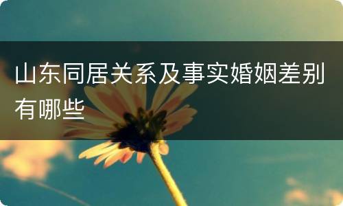 山东同居关系及事实婚姻差别有哪些