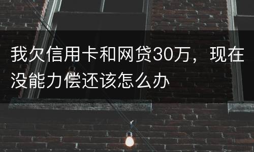 我欠信用卡和网贷30万，现在没能力偿还该怎么办