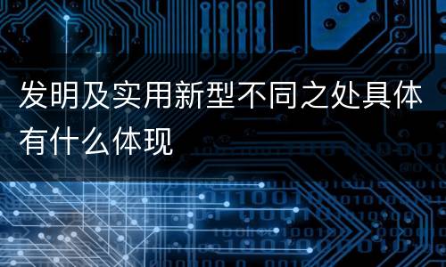 发明及实用新型不同之处具体有什么体现