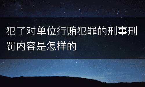 犯了对单位行贿犯罪的刑事刑罚内容是怎样的