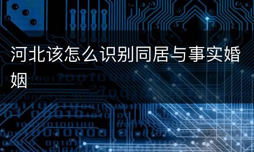 河北该怎么识别同居与事实婚姻
