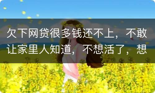 欠下网贷很多钱还不上，不敢让家里人知道，不想活了，想一死了之