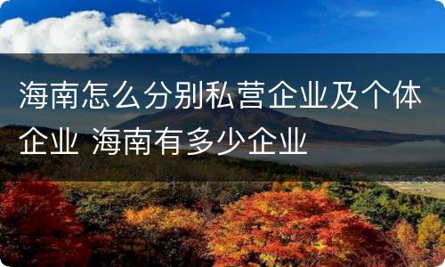 海南怎么分别私营企业及个体企业 海南有多少企业
