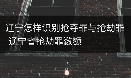 辽宁怎样识别抢夺罪与抢劫罪 辽宁省抢劫罪数额