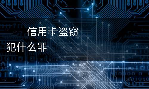 　　信用卡盗窃犯什么罪