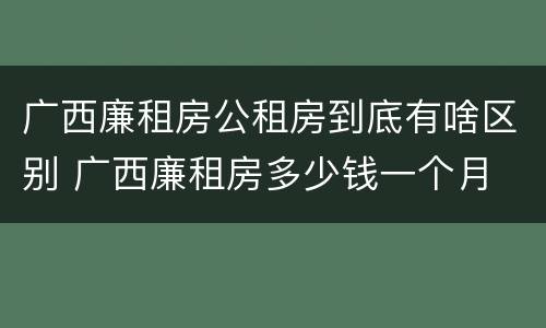 广西廉租房公租房到底有啥区别 广西廉租房多少钱一个月