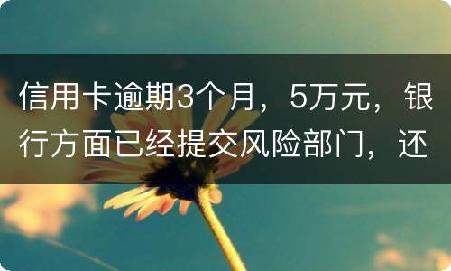 信用卡逾期3个月，5万元，银行方面已经提交风险部门，还不上什么办