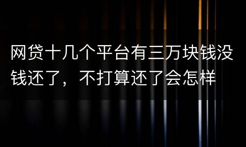 网贷十几个平台有三万块钱没钱还了，不打算还了会怎样