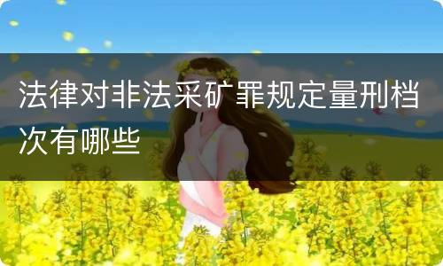 法律对非法采矿罪规定量刑档次有哪些