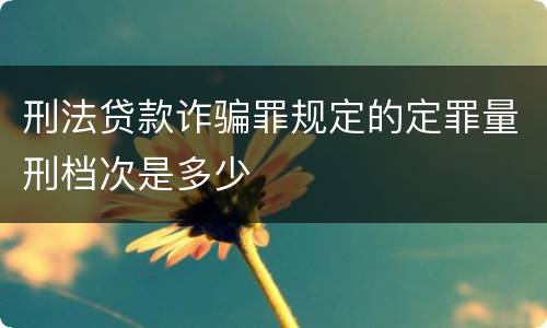 刑法贷款诈骗罪规定的定罪量刑档次是多少