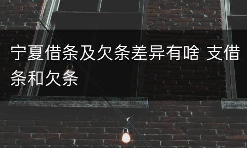 宁夏借条及欠条差异有啥 支借条和欠条