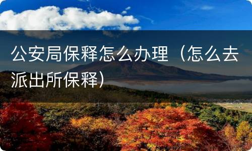 公安局保释怎么办理（怎么去派出所保释）