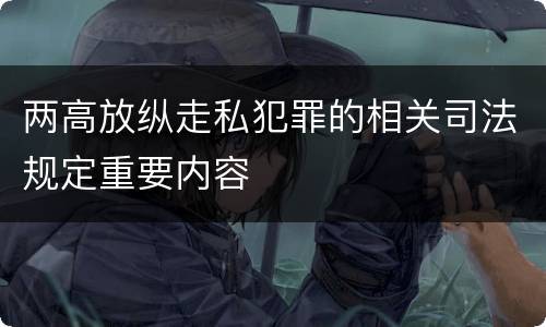 两高放纵走私犯罪的相关司法规定重要内容