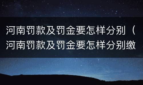 河南罚款及罚金要怎样分别（河南罚款及罚金要怎样分别缴纳）