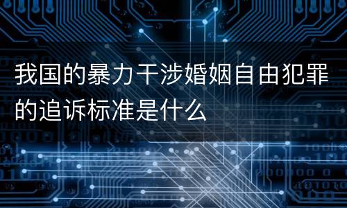 我国的暴力干涉婚姻自由犯罪的追诉标准是什么