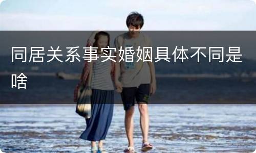同居关系事实婚姻具体不同是啥