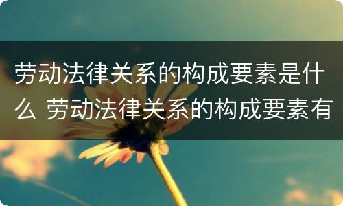 劳动法律关系的构成要素是什么 劳动法律关系的构成要素有哪些?