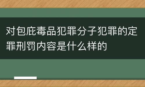 对包庇毒品犯罪分子犯罪的定罪刑罚内容是什么样的