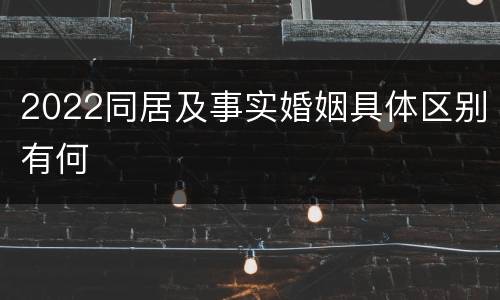 2022同居及事实婚姻具体区别有何