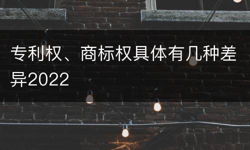 专利权、商标权具体有几种差异2022