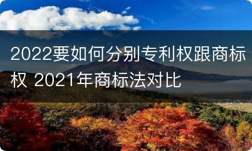 2022要如何分别专利权跟商标权 2021年商标法对比