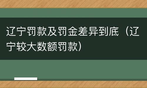 辽宁罚款及罚金差异到底（辽宁较大数额罚款）