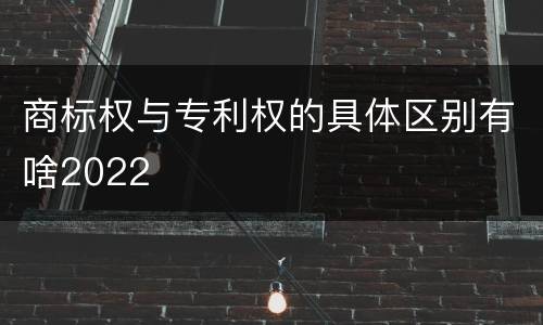 商标权与专利权的具体区别有啥2022