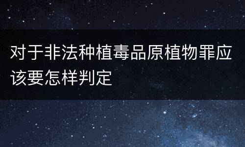 对于非法种植毒品原植物罪应该要怎样判定