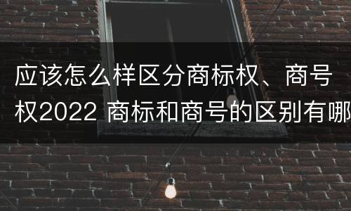 应该怎么样区分商标权、商号权2022 商标和商号的区别有哪些?