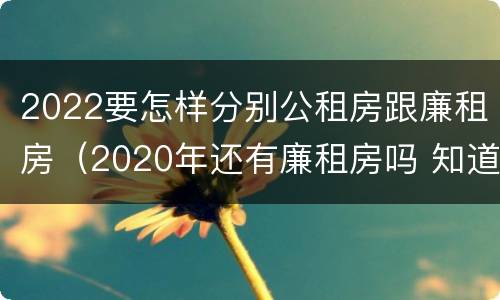 2022要怎样分别公租房跟廉租房（2020年还有廉租房吗 知道）