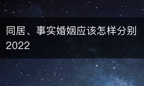 同居、事实婚姻应该怎样分别2022