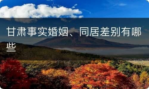 甘肃事实婚姻、同居差别有哪些